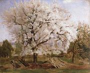 Carl Fredrik Hill apple tree in blossom china oil painting artist